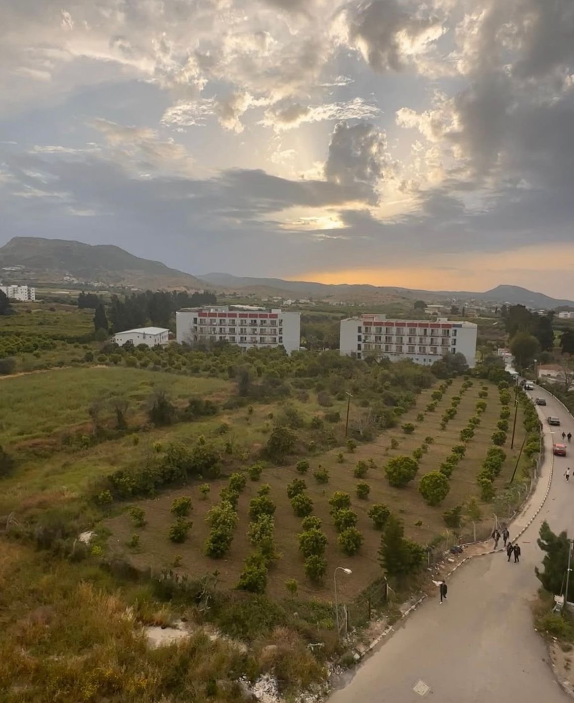 Blok yerleşim planı
